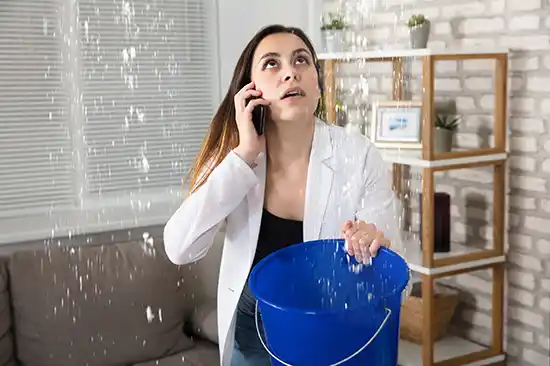 water damage restoration service South Inglewood